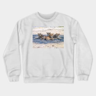 Four Lionesses Shading Themselves Crewneck Sweatshirt